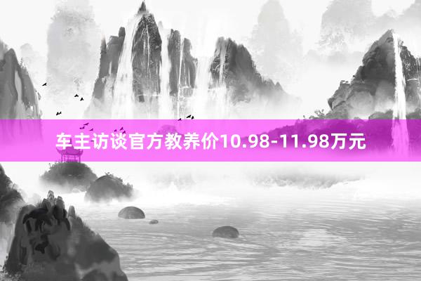 车主访谈官方教养价10.98-11.98万元