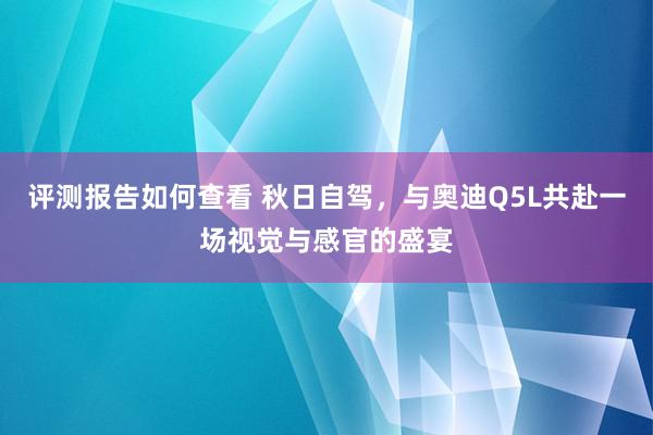 评测报告如何查看 秋日自驾，与奥迪Q5L共赴一场视觉与感官的盛宴