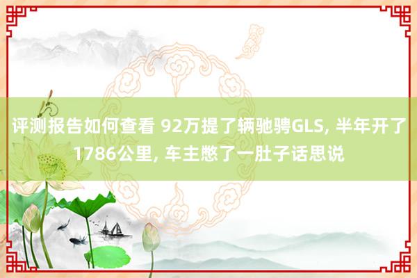 评测报告如何查看 92万提了辆驰骋GLS, 半年开了1786公里, 车主憋了一肚子话思说