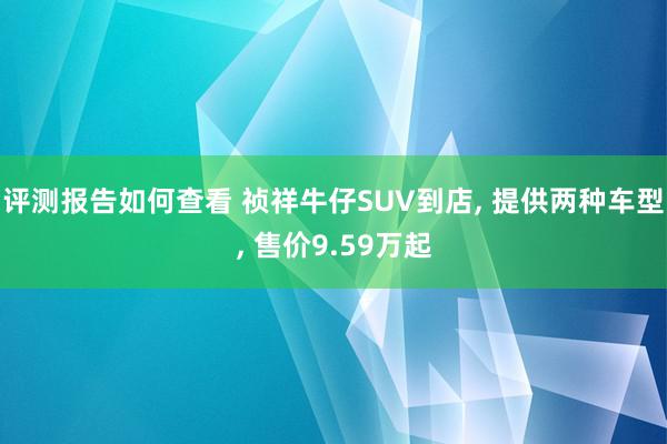 评测报告如何查看 祯祥牛仔SUV到店, 提供两种车型, 售价9.59万起