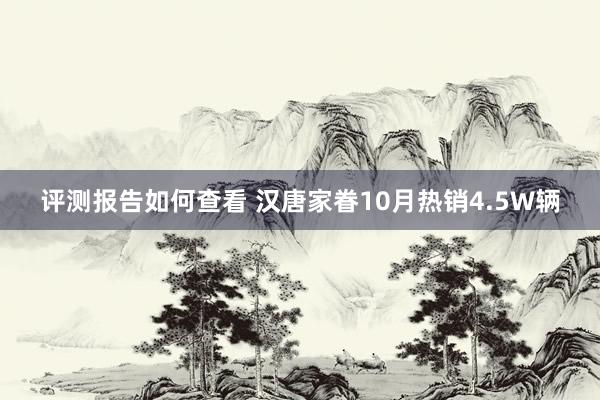 评测报告如何查看 汉唐家眷10月热销4.5W辆