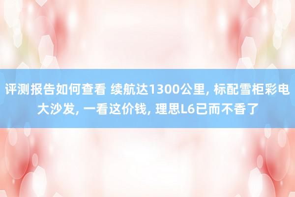 评测报告如何查看 续航达1300公里, 标配雪柜彩电大沙发, 一看这价钱, 理思L6已而不香了