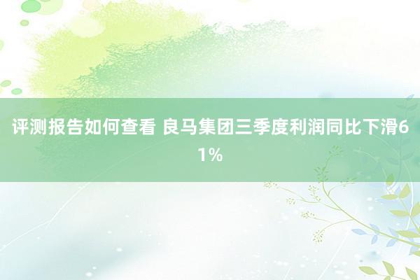 评测报告如何查看 良马集团三季度利润同比下滑61%