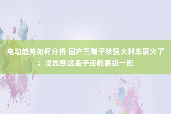 电动趋势如何分析 国产三蹦子珍强大利车展火了：没思到这辈子还能高级一把