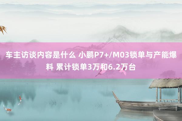 车主访谈内容是什么 小鹏P7+/M03锁单与产能爆料 累计锁单3万和6.2万台