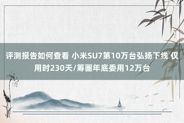 评测报告如何查看 小米SU7第10万台弘扬下线 仅用时230天/筹画年底委用12万台