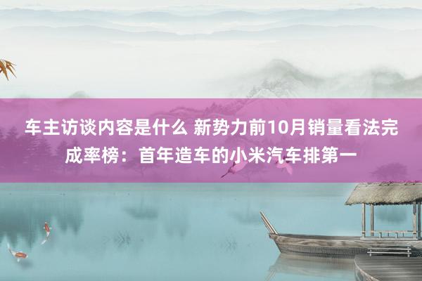 车主访谈内容是什么 新势力前10月销量看法完成率榜：首年造车的小米汽车排第一