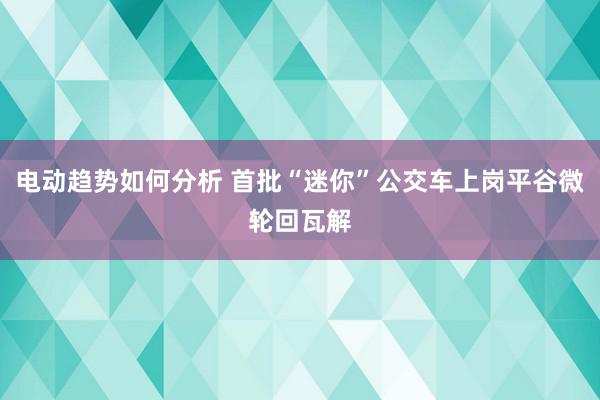 电动趋势如何分析 首批“迷你”公交车上岗平谷微轮回瓦解