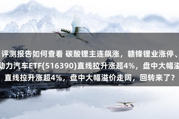 评测报告如何查看 碳酸锂主连飙涨，赣锋锂业涨停、宁德期间涨3%，新动力汽车ETF(516390)直线拉升涨超4%，盘中大幅溢价走阔，回转来了？