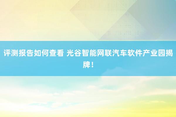 评测报告如何查看 光谷智能网联汽车软件产业园揭牌！