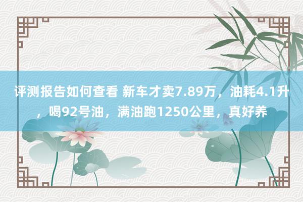 评测报告如何查看 新车才卖7.89万，油耗4.1升，喝92号油，满油跑1250公里，真好养