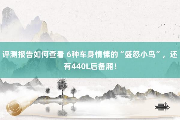 评测报告如何查看 6种车身情愫的“盛怒小鸟”，还有440L后备厢！