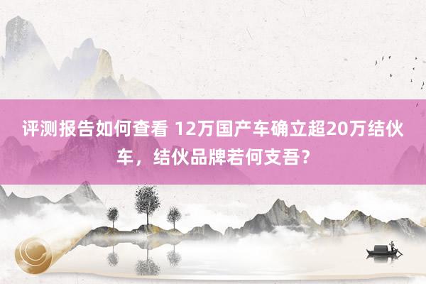 评测报告如何查看 12万国产车确立超20万结伙车，结伙品牌若何支吾？