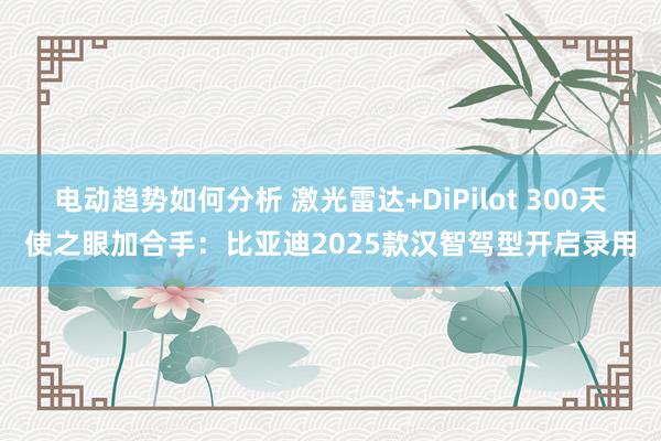 电动趋势如何分析 激光雷达+DiPilot 300天使之眼加合手：比亚迪2025款汉智驾型开启录用