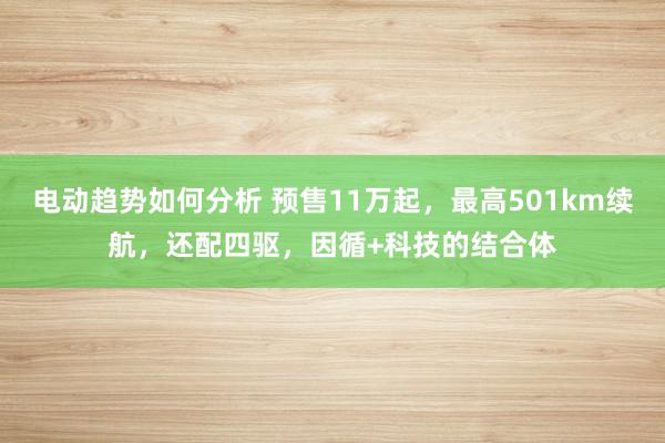 电动趋势如何分析 预售11万起，最高501km续航，还配四驱，因循+科技的结合体