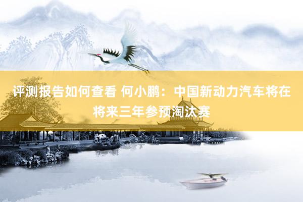 评测报告如何查看 何小鹏：中国新动力汽车将在将来三年参预淘汰赛