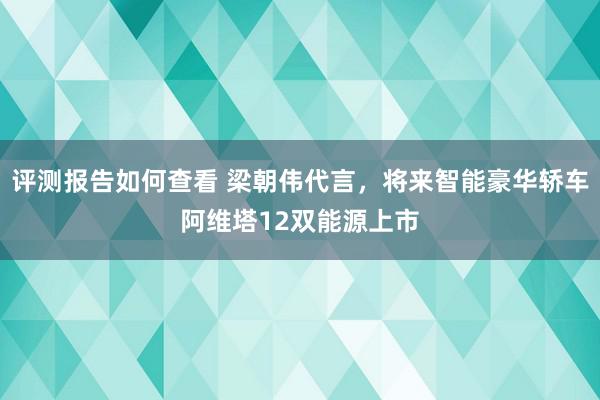 评测报告如何查看 梁朝伟代言，将来智能豪华轿车阿维塔12双能源上市