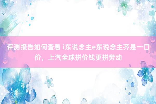 评测报告如何查看 i东说念主e东说念主齐是一口价，上汽全球拼价钱更拼劳动