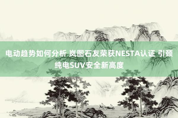 电动趋势如何分析 岚图石友荣获NESTA认证 引颈纯电SUV安全新高度