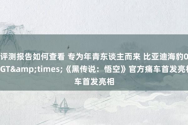 评测报告如何查看 专为年青东谈主而来 比亚迪海豹06GT&times;《黑传说：悟空》官方痛车首发亮相