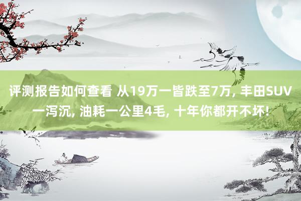 评测报告如何查看 从19万一皆跌至7万, 丰田SUV一泻沉, 油耗一公里4毛, 十年你都开不坏!