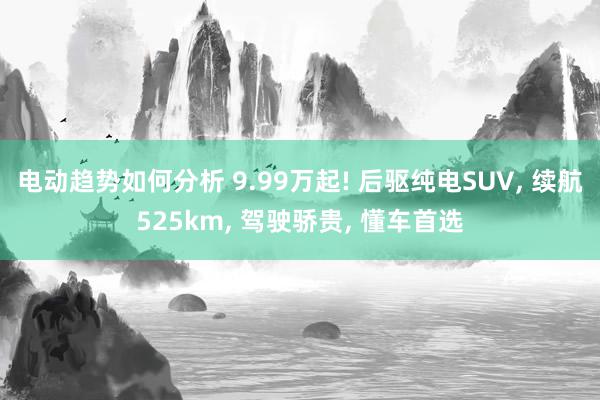 电动趋势如何分析 9.99万起! 后驱纯电SUV, 续航525km, 驾驶骄贵, 懂车首选