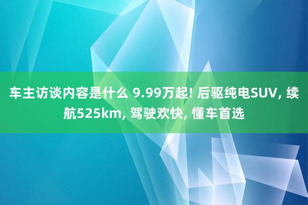 车主访谈内容是什么 9.99万起! 后驱纯电SUV, 续航525km, 驾驶欢快, 懂车首选