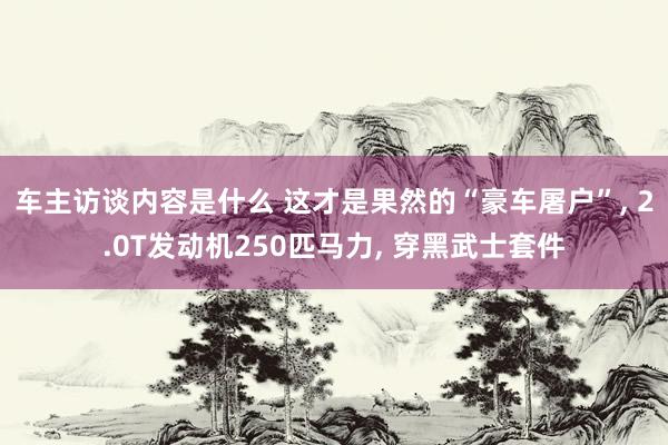 车主访谈内容是什么 这才是果然的“豪车屠户”, 2.0T发动机250匹马力, 穿黑武士套件