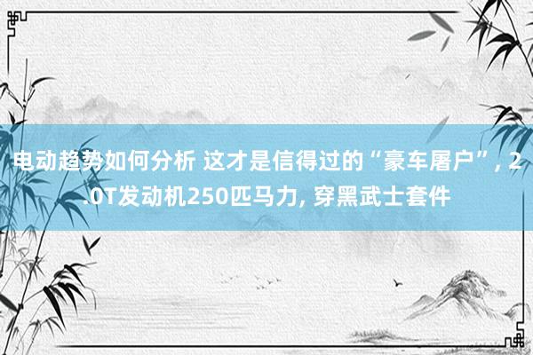 电动趋势如何分析 这才是信得过的“豪车屠户”, 2.0T发动机250匹马力, 穿黑武士套件