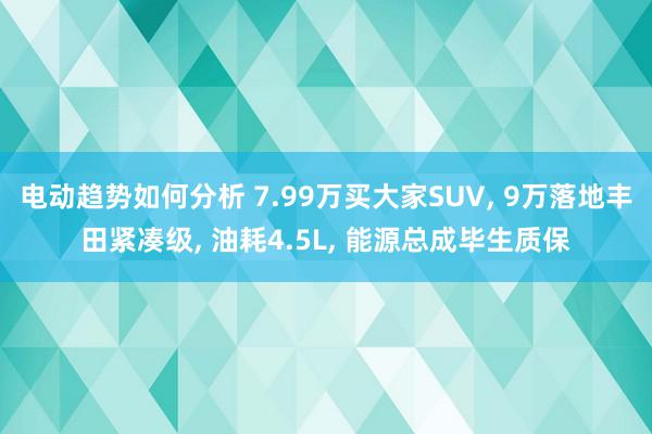 电动趋势如何分析 7.99万买大家SUV, 9万落地丰田紧凑级, 油耗4.5L, 能源总成毕生质保