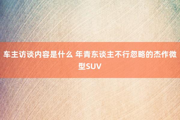 车主访谈内容是什么 年青东谈主不行忽略的杰作微型SUV