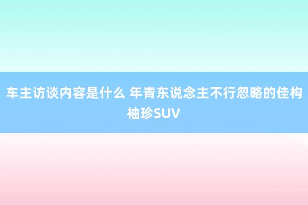 车主访谈内容是什么 年青东说念主不行忽略的佳构袖珍SUV