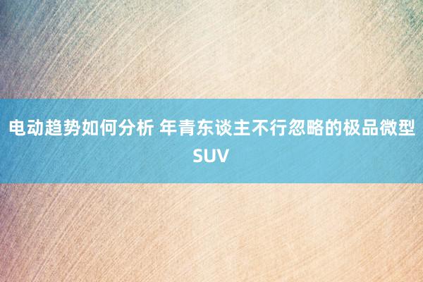 电动趋势如何分析 年青东谈主不行忽略的极品微型SUV