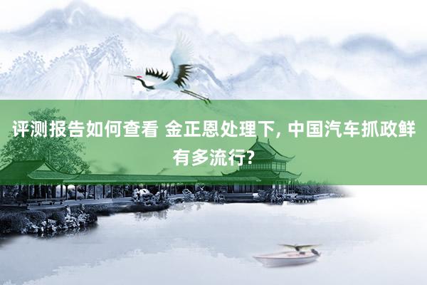 评测报告如何查看 金正恩处理下, 中国汽车抓政鲜有多流行?