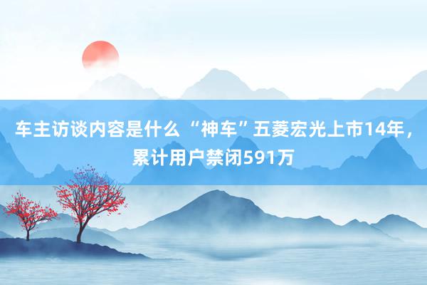 车主访谈内容是什么 “神车”五菱宏光上市14年，累计用户禁闭591万