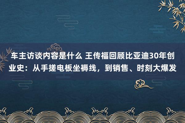 车主访谈内容是什么 王传福回顾比亚迪30年创业史：从手搓电板坐褥线，到销售、时刻大爆发