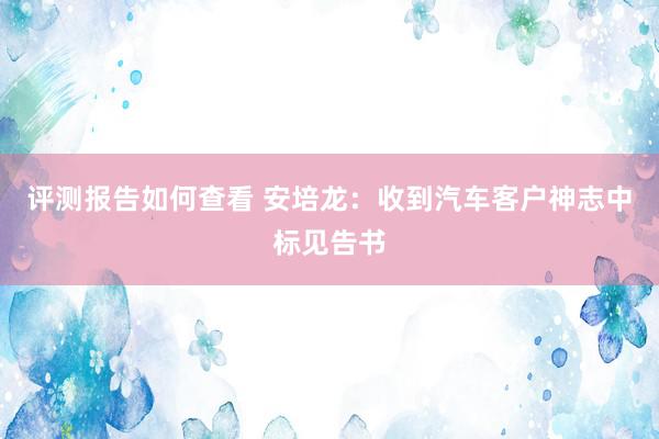 评测报告如何查看 安培龙：收到汽车客户神志中标见告书