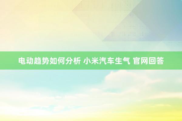 电动趋势如何分析 小米汽车生气 官网回答