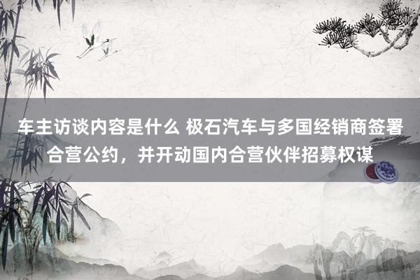 车主访谈内容是什么 极石汽车与多国经销商签署合营公约，并开动国内合营伙伴招募权谋