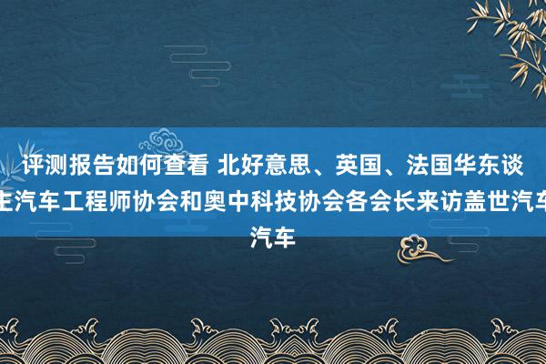 评测报告如何查看 北好意思、英国、法国华东谈主汽车工程师协会和奥中科技协会各会长来访盖世汽车