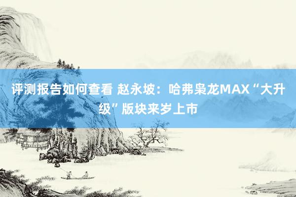 评测报告如何查看 赵永坡：哈弗枭龙MAX“大升级”版块来岁上市