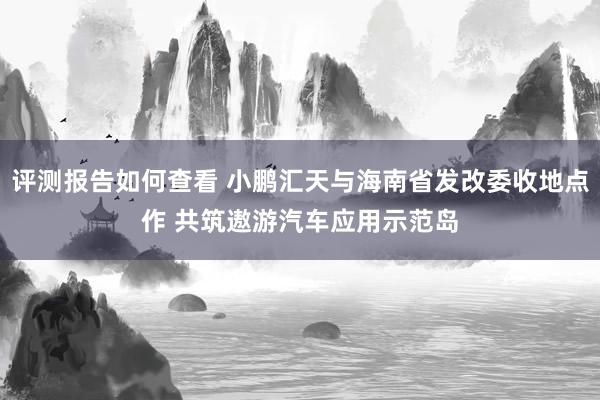 评测报告如何查看 小鹏汇天与海南省发改委收地点作 共筑遨游汽车应用示范岛