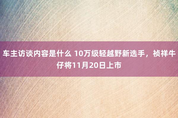 车主访谈内容是什么 10万级轻越野新选手，祯祥牛仔将11月20日上市