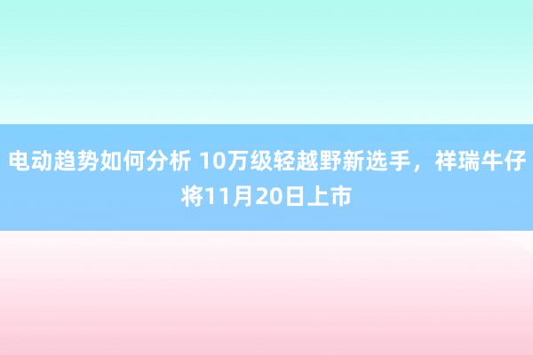 电动趋势如何分析 10万级轻越野新选手，祥瑞牛仔将11月20日上市