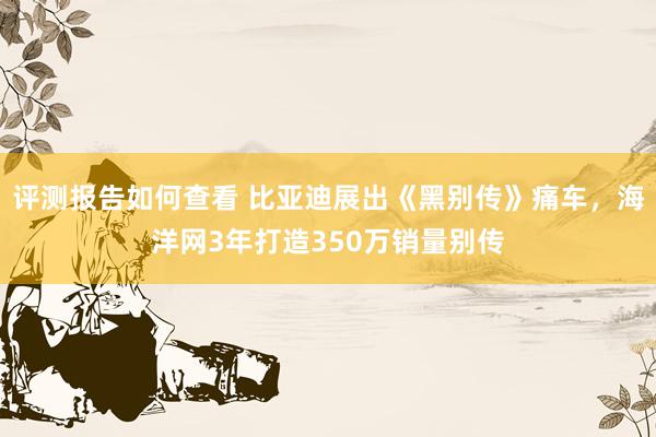 评测报告如何查看 比亚迪展出《黑别传》痛车，海洋网3年打造350万销量别传