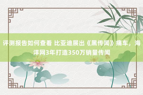 评测报告如何查看 比亚迪展出《黑传闻》痛车，海洋网3年打造350万销量传闻