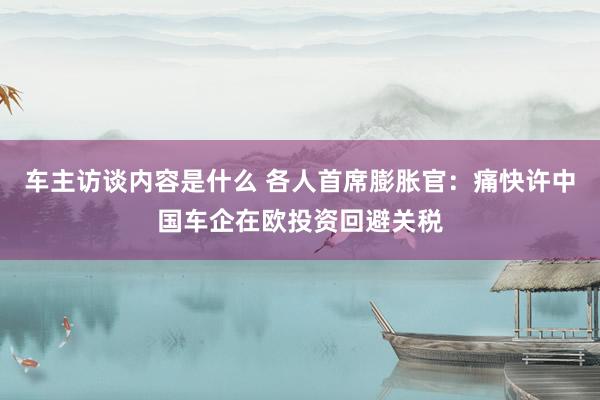 车主访谈内容是什么 各人首席膨胀官：痛快许中国车企在欧投资回避关税