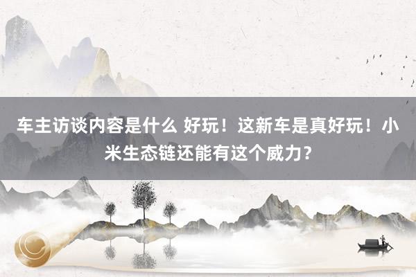 车主访谈内容是什么 好玩！这新车是真好玩！小米生态链还能有这个威力？