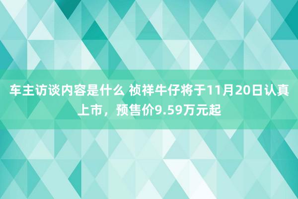 车主访谈内容是什么 祯祥牛仔将于11月20日认真上市，预售价9.59万元起