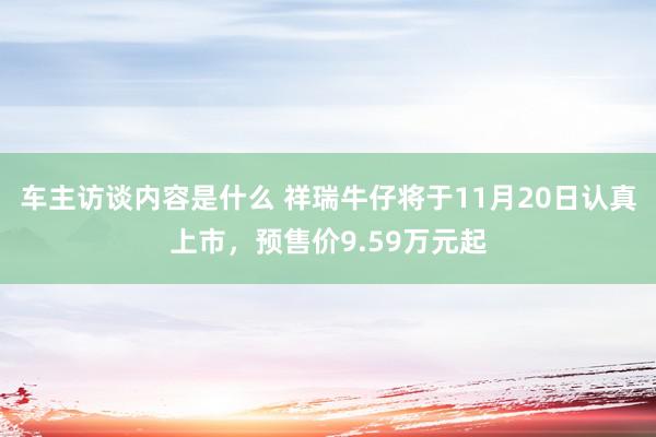 车主访谈内容是什么 祥瑞牛仔将于11月20日认真上市，预售价9.59万元起